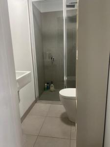 Bird Paradise In Bush setting