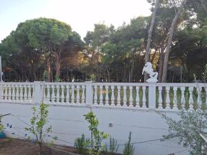 Beach House
