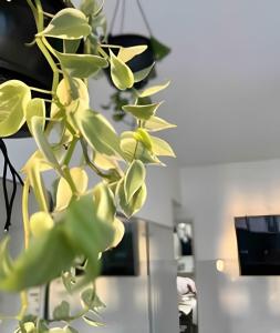 UNU 1505 - Corredor da Vitória: Vista mar, Wi-fi +