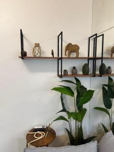 Na Quadra da Praia com Conforto NSC1141-503A