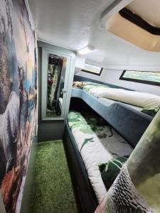 Lévasion - Pairi Daiza - Insolite