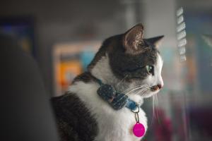 Hotel Parque de los Novios Inn