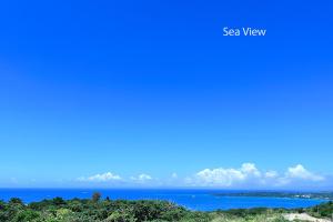 JYUGON KARISOME Nago Okinawa ジュゴンかりそめ 名護沖縄