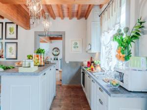 Villa in Lucca with Jacuzzi and Wine Tours