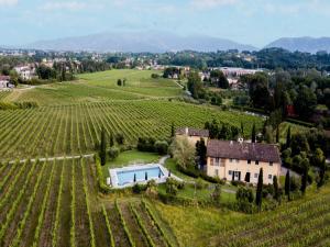 Apartment in Lucca with Winery and Pool