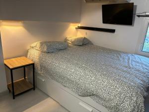 Maisons de vacances Villa climatise entre Montpellier est Sete proche des plages : photos des chambres