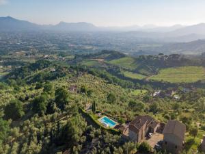 Villa with Pool and Vineyard Views