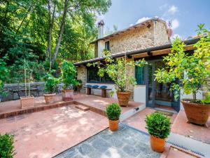 Villa in Pescia with Tuscan Wine Views