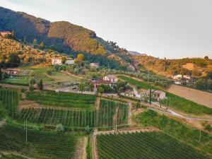 Villa in Lucca with Winery and Vineyard Views