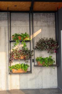 Palmas Luxury Apartment 104