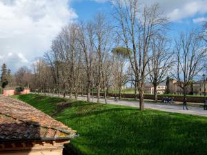 Spacious Tuscan Apartment in Lucca