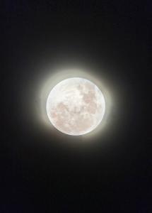 Saigon Healing Home - Black and white Studio - Tân Bình