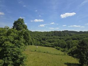 Maisons de vacances Charmante maison perigourdine avec jardin, cheminee, Wifi et equipements bebe, proche de Sarlat - FR-1-616-130 : photos des chambres