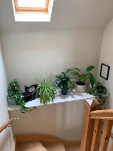 Charming Isle of Skye Holiday Cottage, Glendale