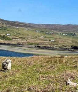Charming Isle of Skye Holiday Cottage, Glendale