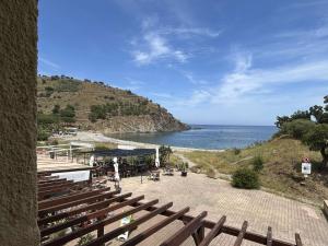 Appartements Appartement 2 pieces vue mer avec climatisation a Banyuls-sur-Mer - FR-1-225C-172 : photos des chambres