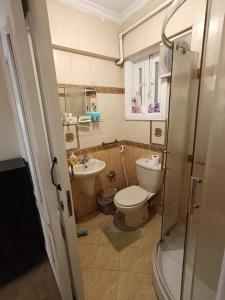 Room in comfortable cozy shared apartment Dgla Maadi Cairo