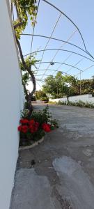 Relax nel Salento autentico, a due passi dal mare