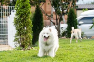 Yangsan Yeonhuijae Pet-friendlyPool Villa