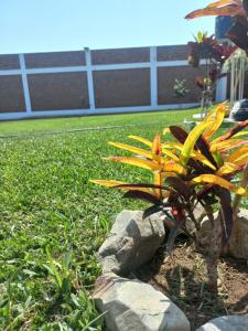 Shalom Country House