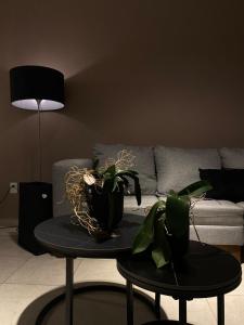 Departamento en Boca del Rio Ver