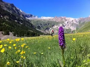 Hostel-Albergue Monte Perdido - Torla