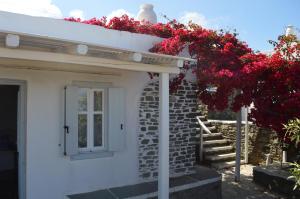 Efthymia's Apartments Sifnos Greece