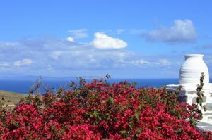 Efthymia's Apartments Sifnos Greece