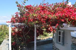 Efthymia's Apartments Sifnos Greece