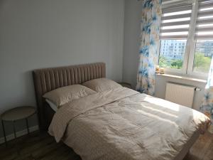 Apartament aleja 1 Maja