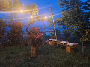 Taku Villa Wonderful view of Lake Ohrid