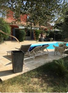 Villas Villa cosy 5km Cannes : photos des chambres