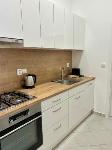 Centre Apartment by the River