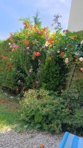 Appartements Residence l -agora : photos des chambres