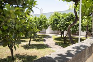 Masseria Palmo