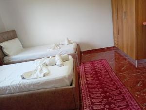 Villa Rexho