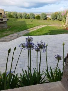 Villas Maison les pieds dans l-eau - Vue exceptionnelle : photos des chambres