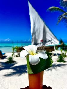 Zanzi Soul Luxury Boutique Hotel