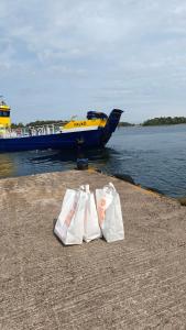 Majoitu saaressa Nauvon ulkosaaristossa