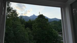 Mountain Peak Apartment