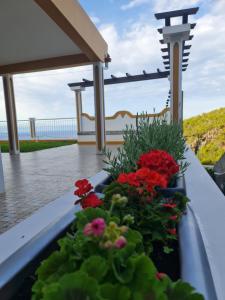 Casa do Garajau 304