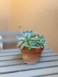 Villafranca settantuno Apartments