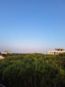 Golem Holiday Apartment