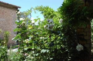 Agriturismo Furfullanu img22