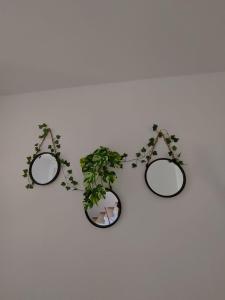 Maisons de vacances LaDy ROSE NIMES, House for 14 people : photos des chambres