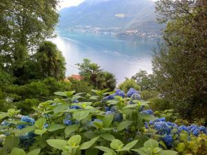 Rustico Marietta by HolAp SA