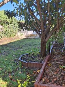 Maisons de vacances LaDy ROSE NIMES, House for 14 people : photos des chambres