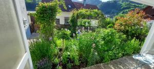 Ferienhaus am Rosengärtle - Black Forest - Forêt Noire