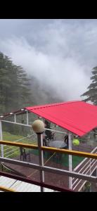 Whispering wood camps and cottage