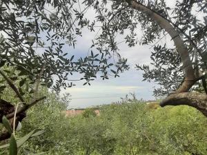 Dimora Acqua del Fico